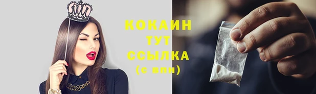 дживик Аркадак