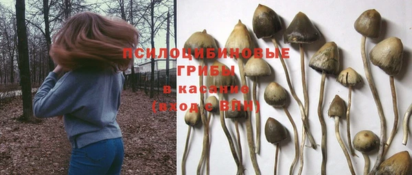 дживик Аркадак