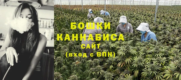 дживик Аркадак