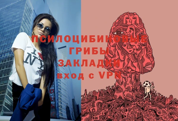 дживик Аркадак