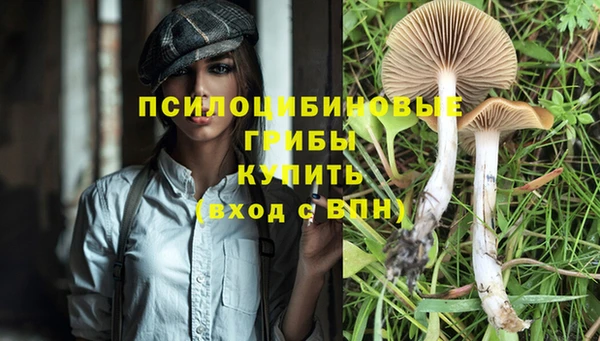 дживик Аркадак